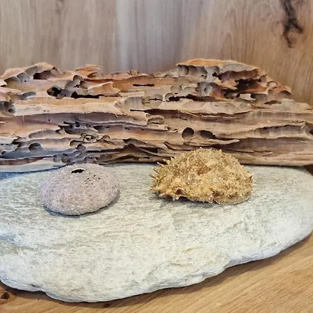 La Luz De San Agustin - 2 Hab 6 Pax - Vut-4299-as * Gijón