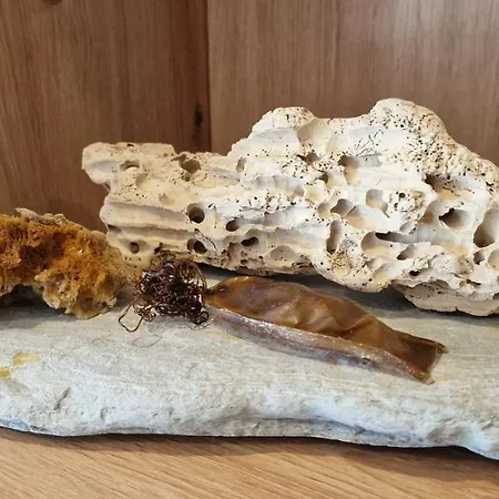 La Luz De San Agustín - 2 Hab 6 Pax - Vut-4299-as